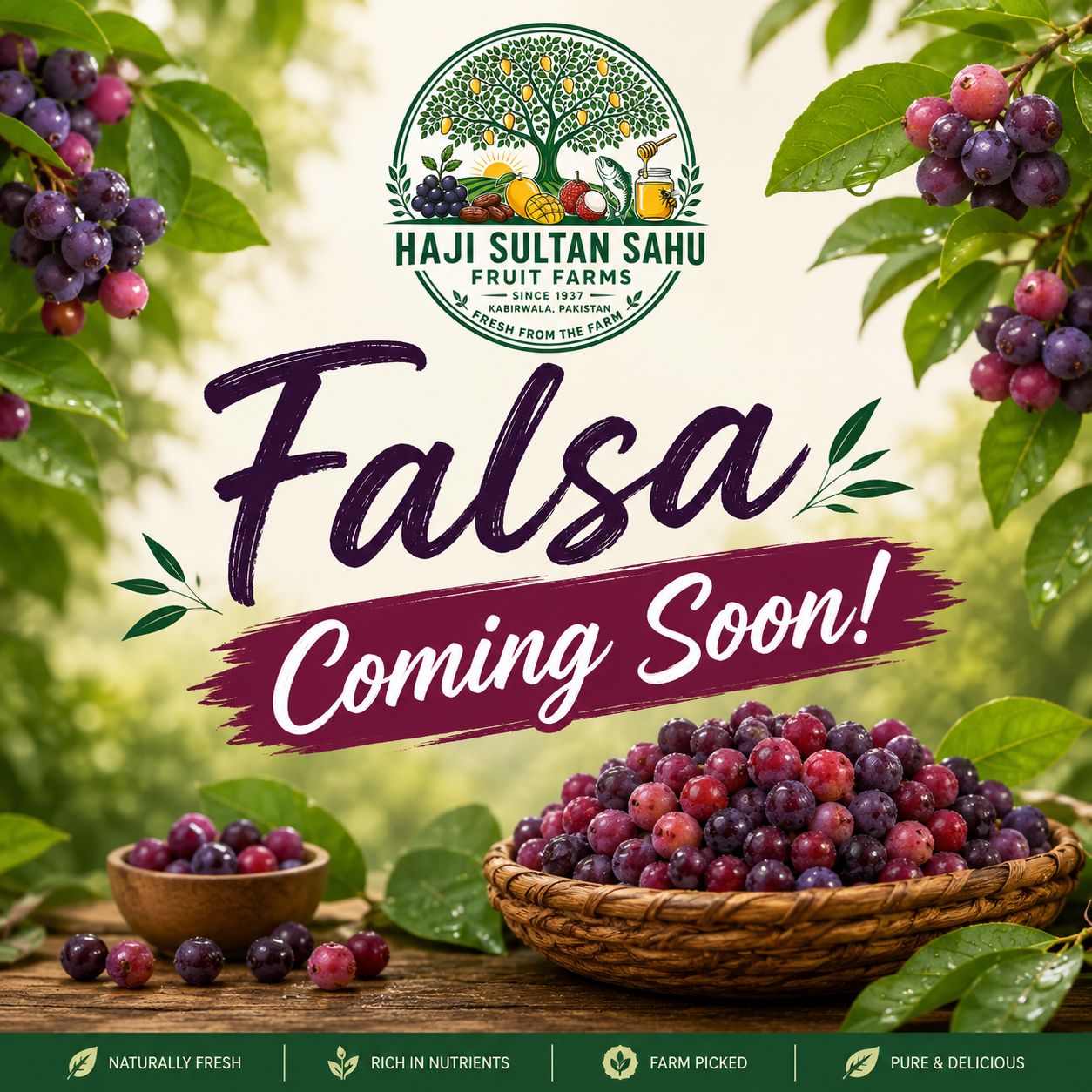 Premium Farm Fresh Falsa – Coming Soon