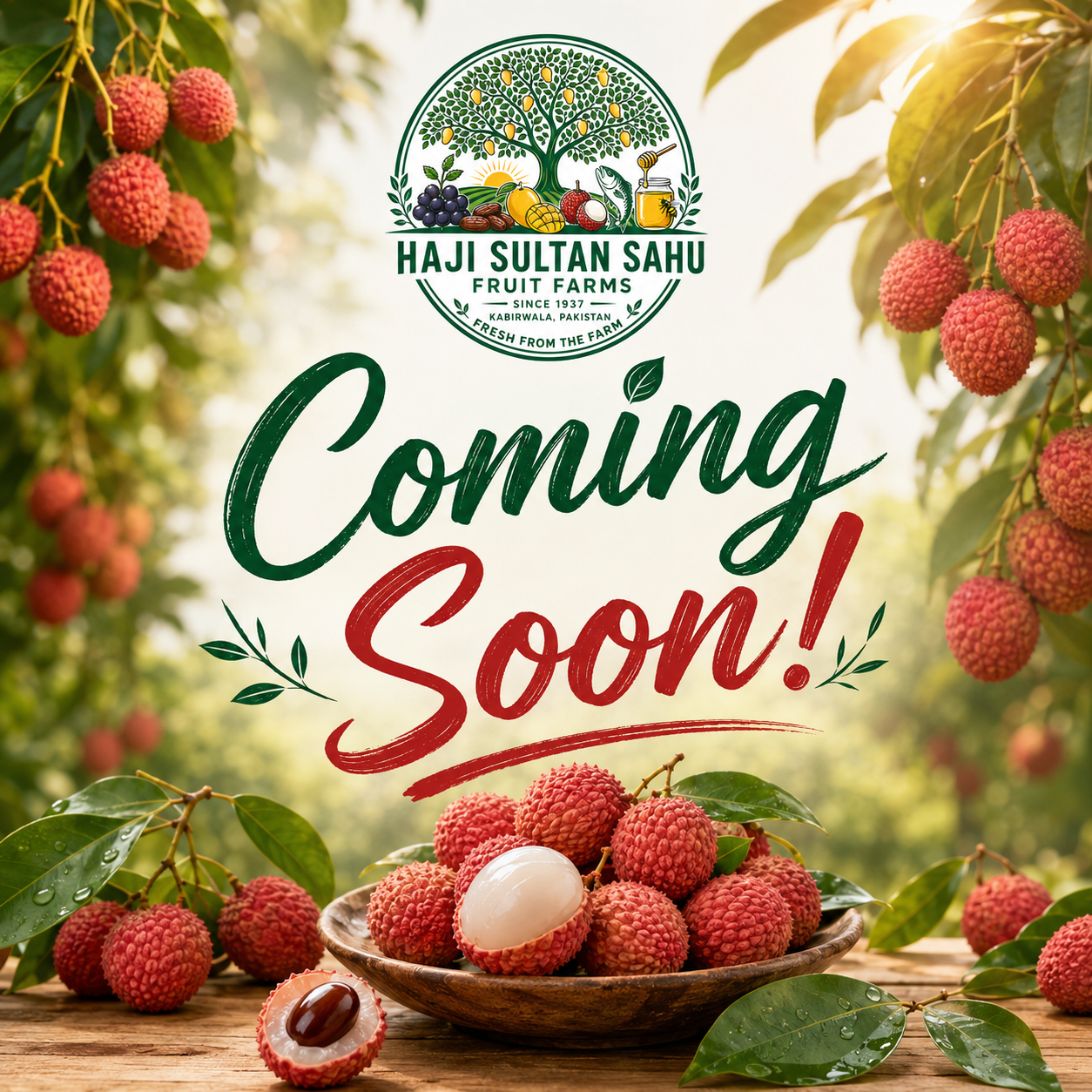 Premium Farm Fresh Lychees – Coming Soon