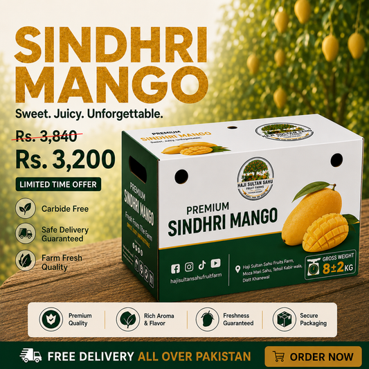 Buy Sindhri Mangoes Online Pakistan | Haji Sultan Sahu Fruit Farms