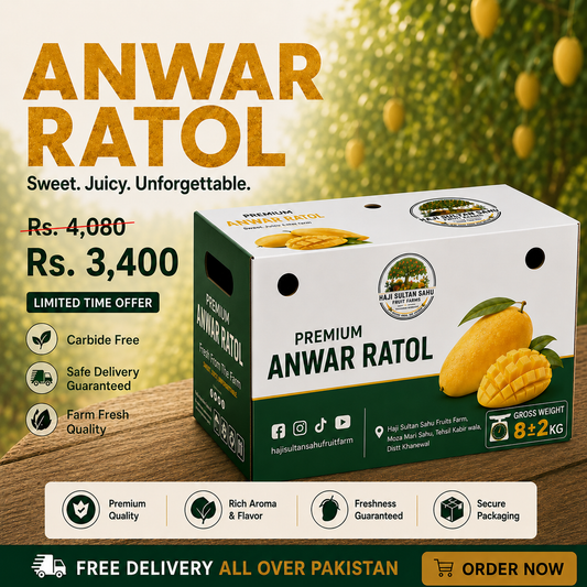 Buy Anwar Ratol Mangoes Online Pakistan | Haji Sultan Sahu Fruit Farms