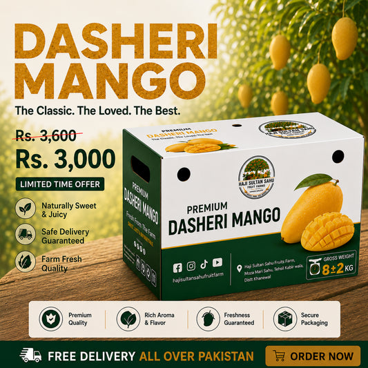 Buy Dasheri Mangoes Online Pakistan | Haji Sultan Sahu Fruit Farms